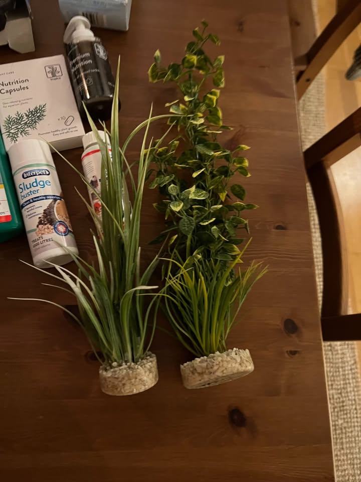 Fish Tank (Rectangle) with Table Stand