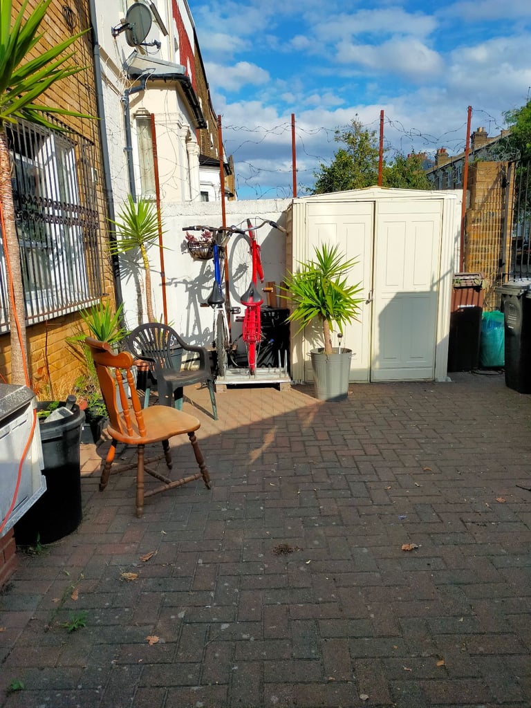 Yucca Trees from £50