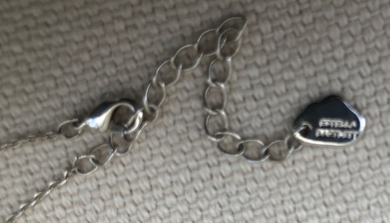 Estella Bartlett silver plated chain and disc VGC ONO