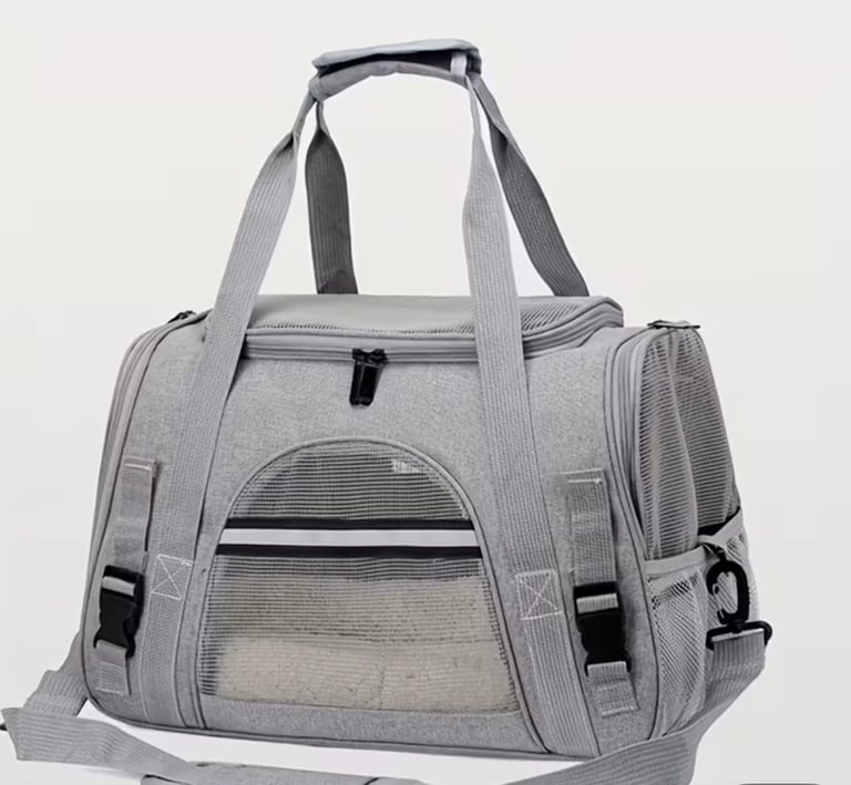 Everything you need for a cat… all brand new