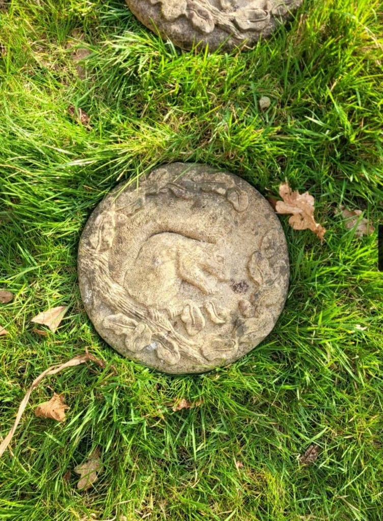 * 10 x RARE * SQUIRREL * QUALITY STEPPING STONES - ORNAMENT GARDEN PATIO DECORATION