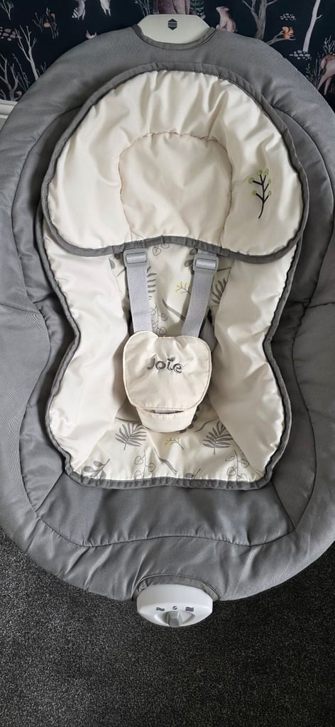 Joie Sansa Baby Swing Chair (twin)