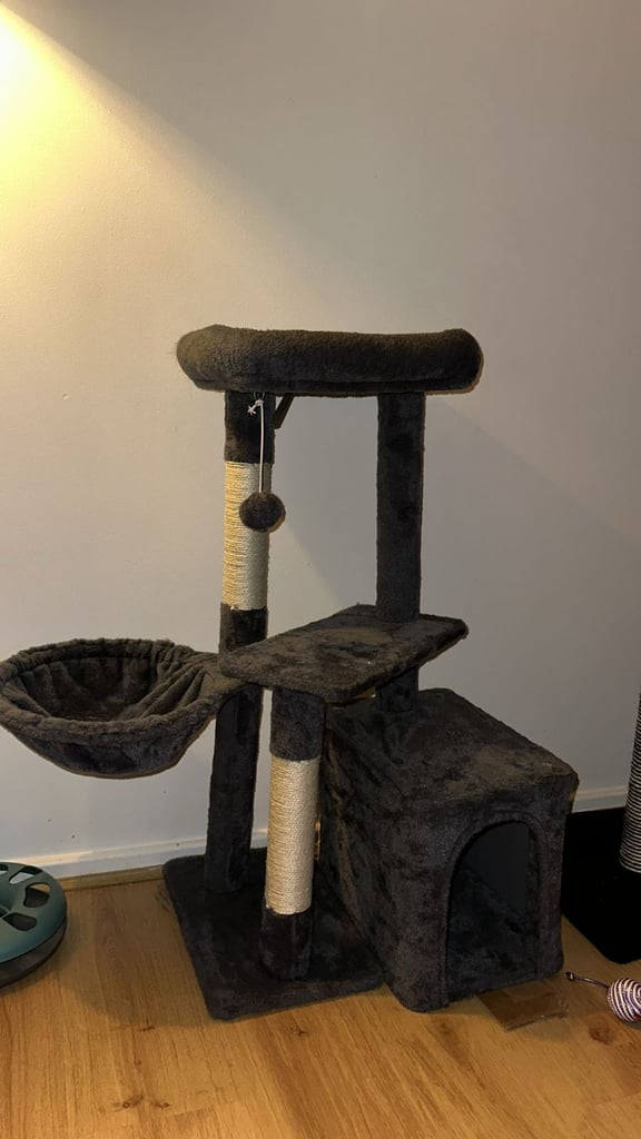 Cat bed with scratch pole 
