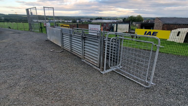 Sheep handling race farm livestock tractor 