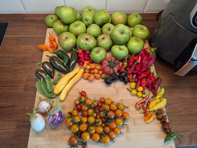 2 x Grow lights and 1x tent VIPARSPECTRA P1000, P600 + 2 free seedling heat mats!