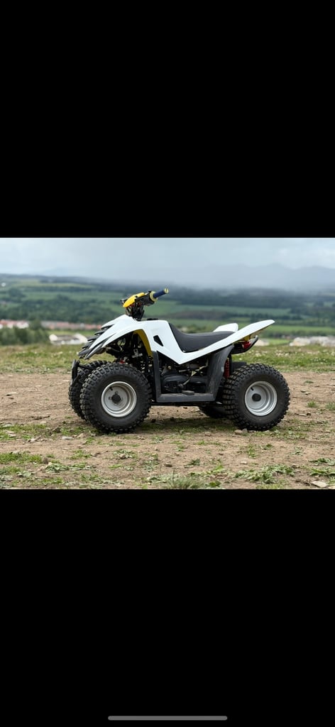 image for Quadzilla qzr 80 