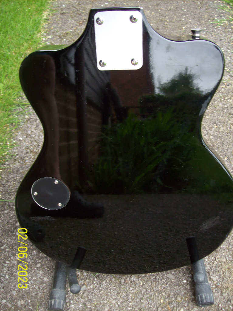C B Sky guitar body and pick up