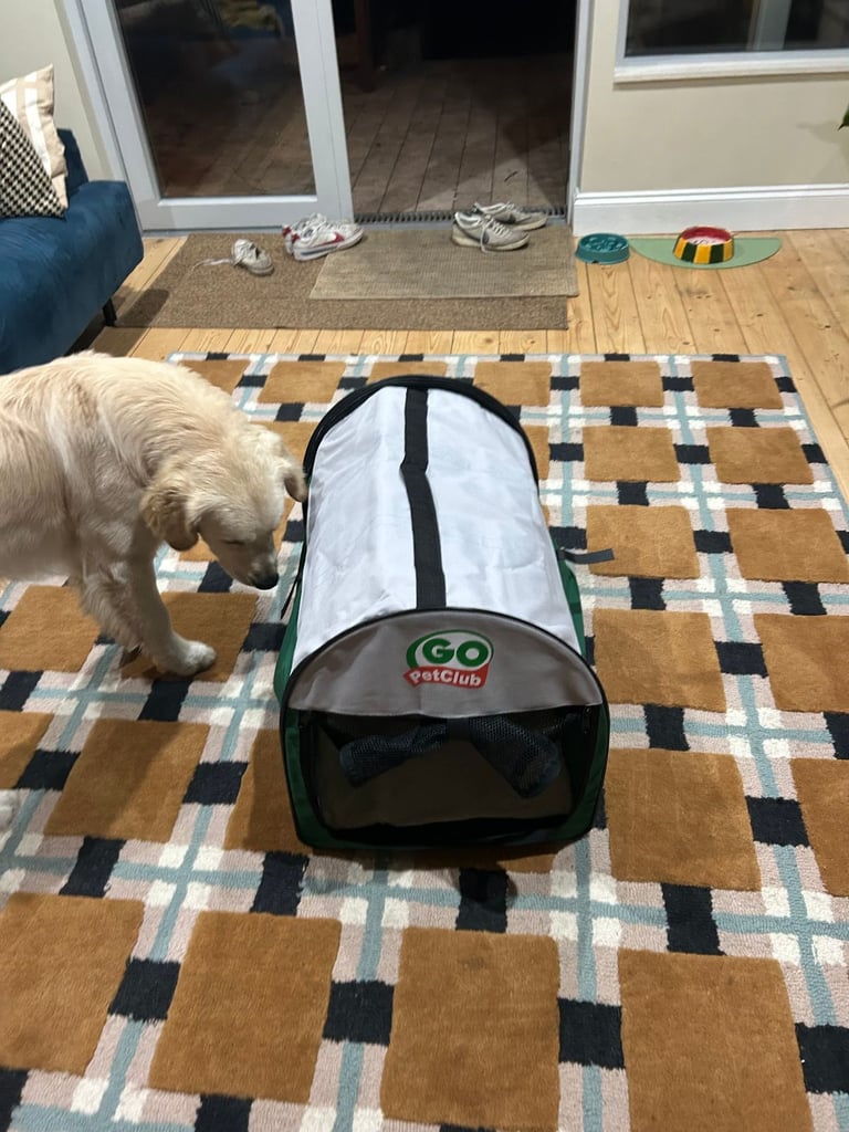 portable pet crate