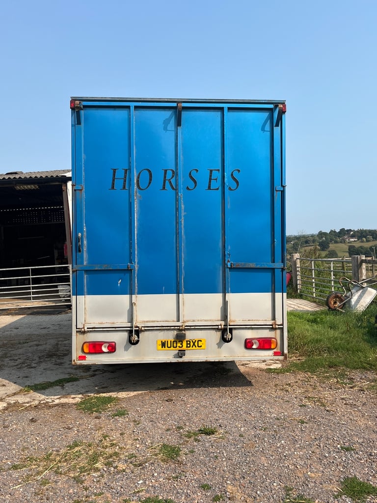 6.5t horsebox Iveco Daily 