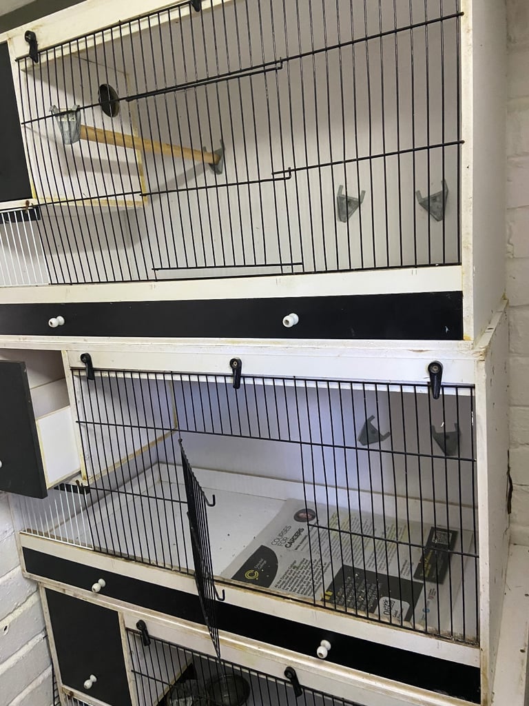 image for Budgie cages and more