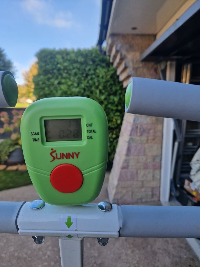 Sunny Row and Ride Machine