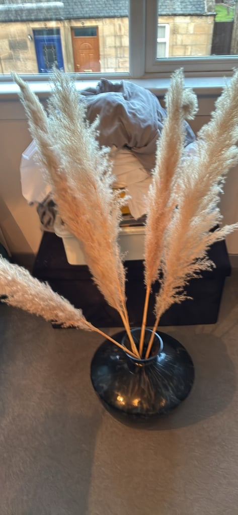 image for Large bowel with ferns