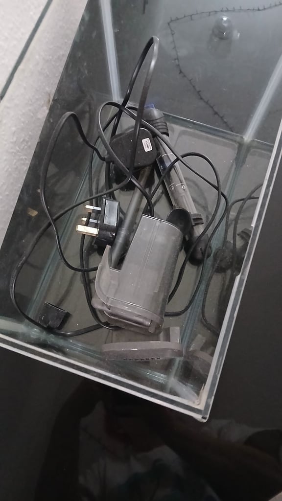 12L Fish Tank & Accessories 