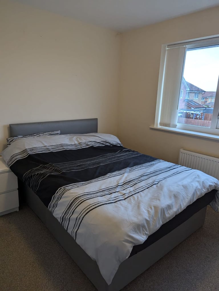Single room for rent 