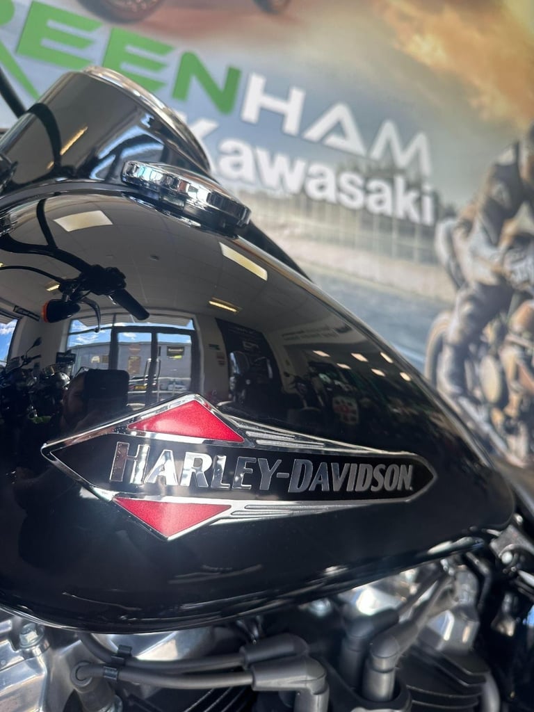 2019 Harley-Davidson Softail 1745 FLSL Slim Euro 4