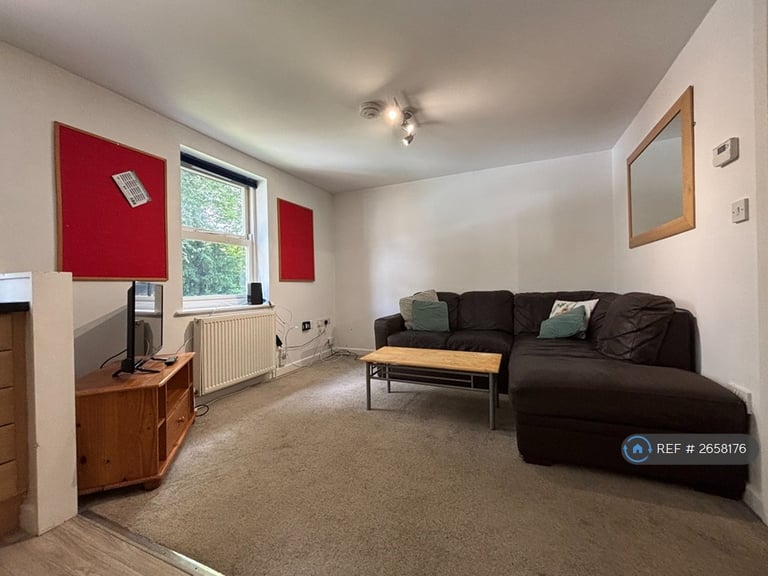 4 bedroom flat in Broomhall Road, Sheffield, S10 (4 bed) (#2658176)