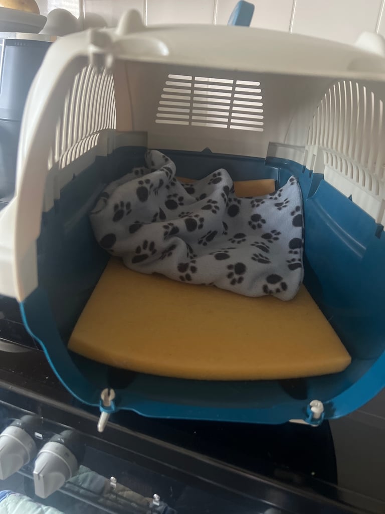 Dog/cat carry crate vgc