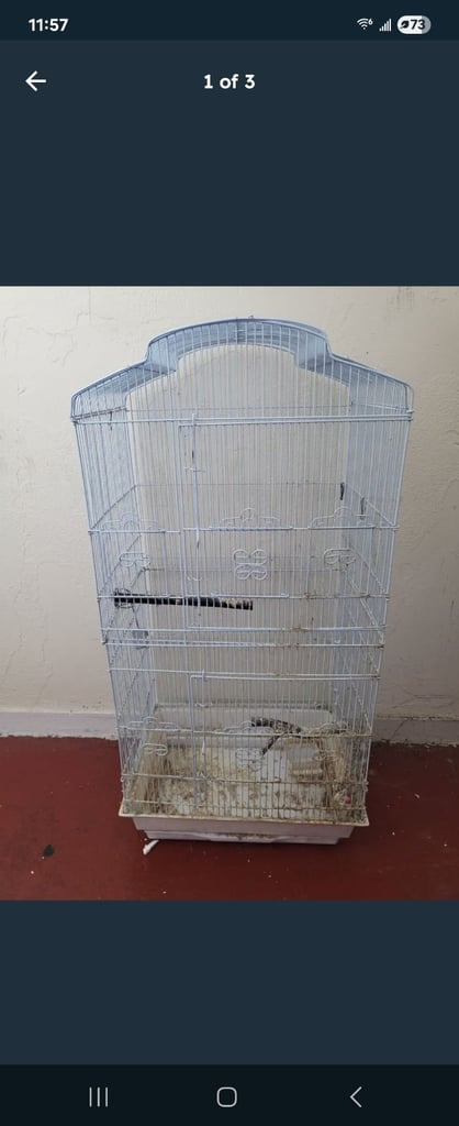 Used birdcage 