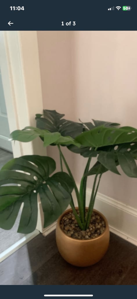 image for Large artificial cheese plant 