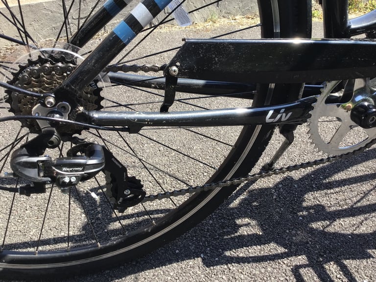 Lady’s Giant hybrid bike.