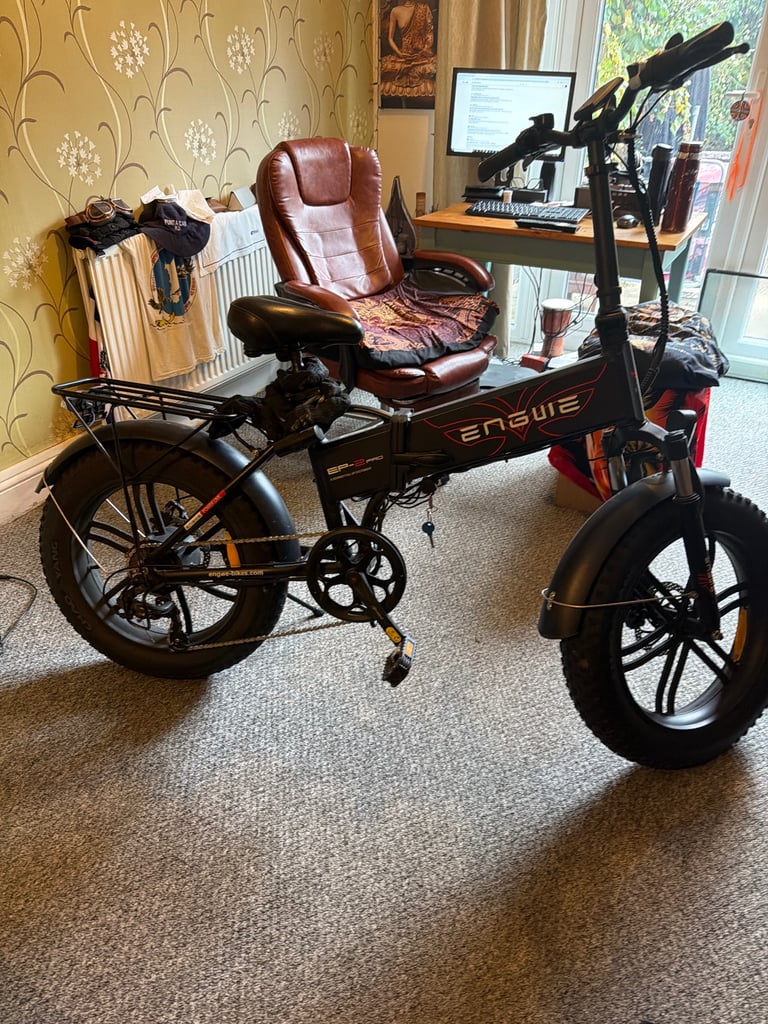 Fat tyres electric bike 