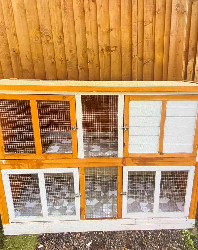 Guinea pig cage
