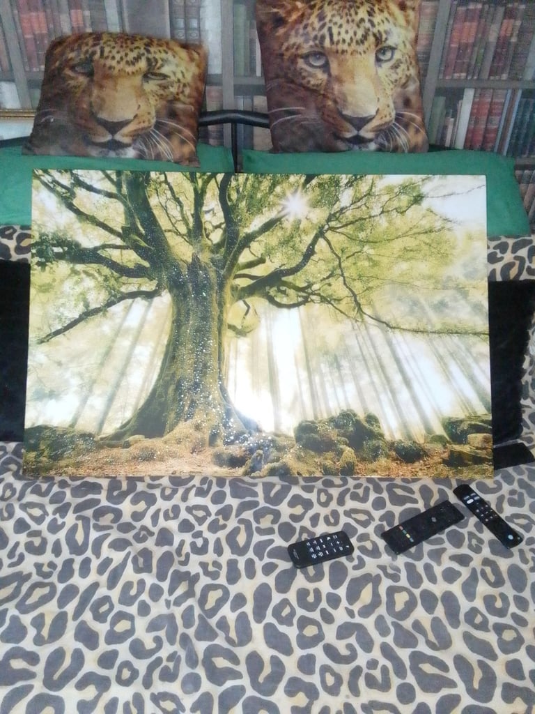 image for Large canvas picture 