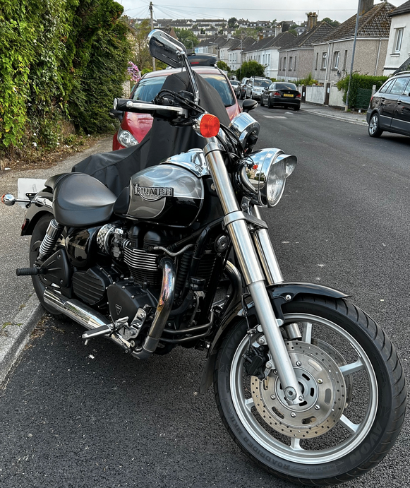 image for Triumph, SPEEDMASTER, 2003, 790 (cc)