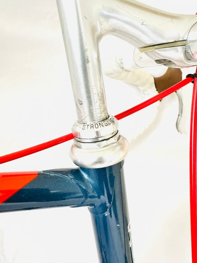 Ff  Pigeon VITUS Size/58 spDDd9a Original Spec Simplex Road Bike