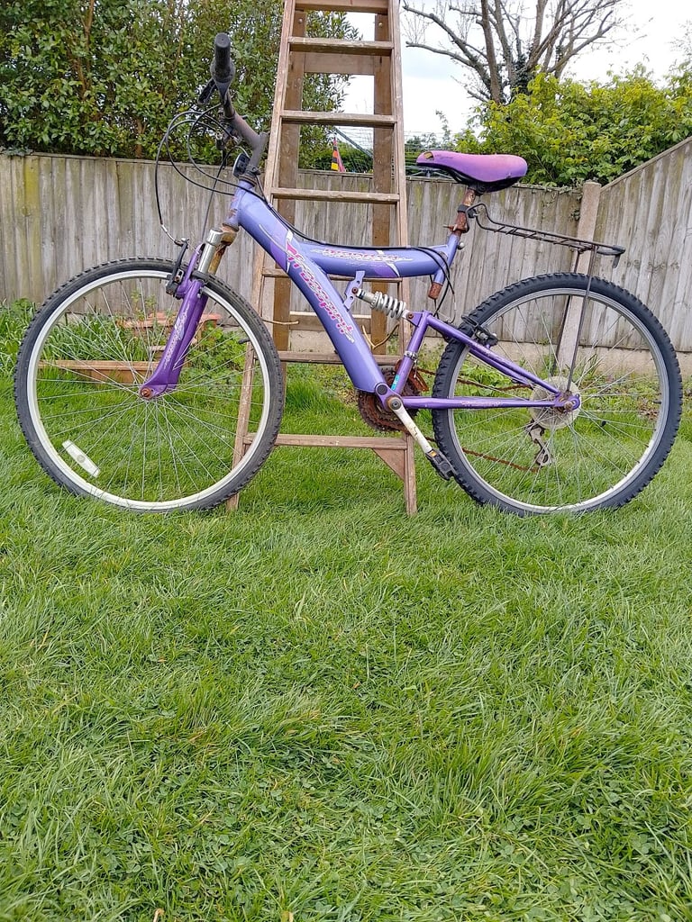 image for Purple Adults Bike. Needs a lot of TLC. A fair amount of rust.