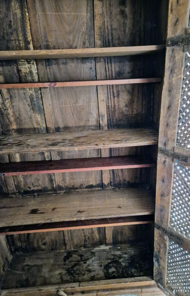 Vintage Indian armoire or storage cupboard