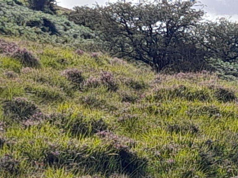 Luxury flat to rent. All bills enc