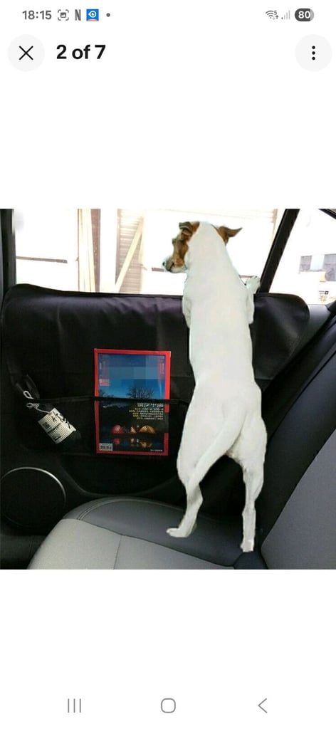 2pcs Pet Dog Seat Cover Car Side Door Panel Protector Anti-scratch Anti-kick Pad