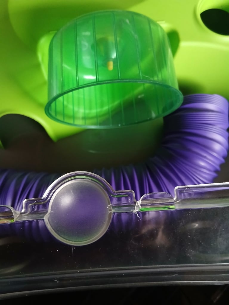 Hamster cage with wheel and tube