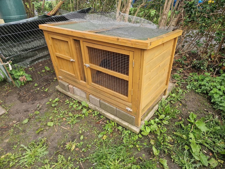 Rabbit guinne pig hutch