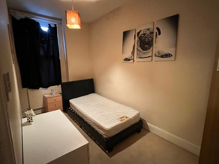 Single room in professional house for viewing this Saturday only