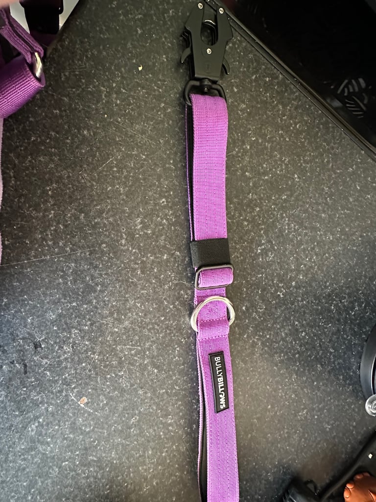 Bullybillows dog lead and harness 