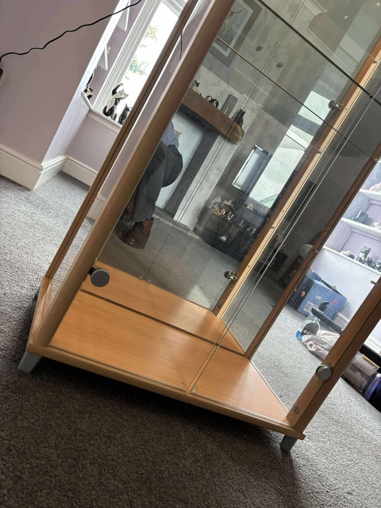 Glass Display Cabinet with Mirrored Back