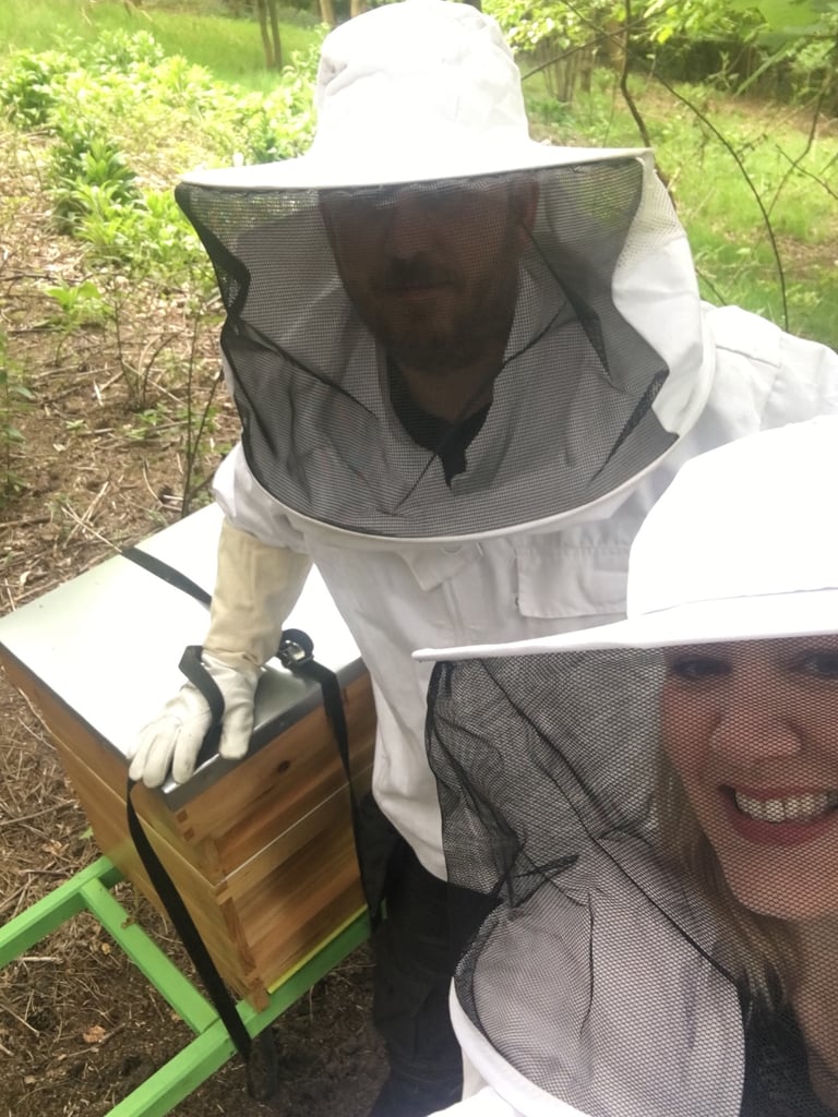 Cash Paid Land for Beehives Wanted Cash Paid