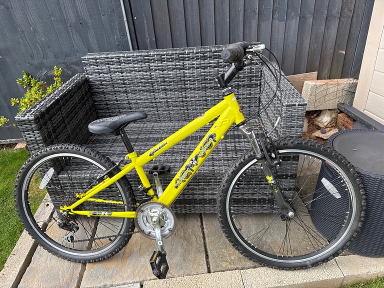 image for Boys Raleigh bike 