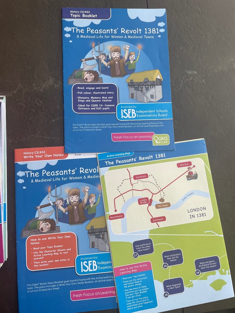 24 x Oaka Books Booklets KS3 History Bundle Common Entrance KS3 SEN - 9 Topics
