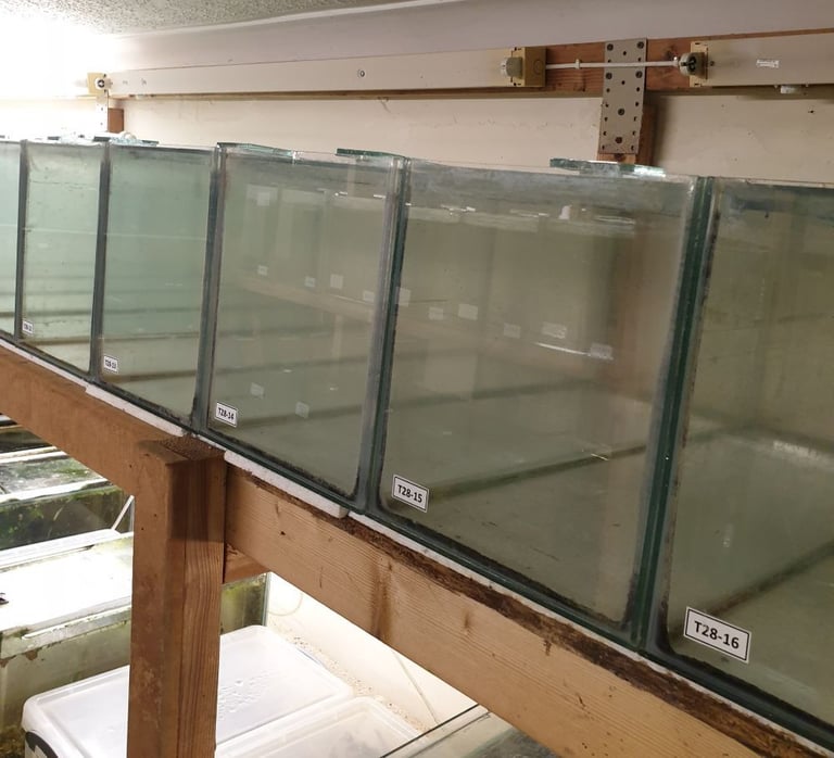 image for 28L Aquarium / Fish Tank