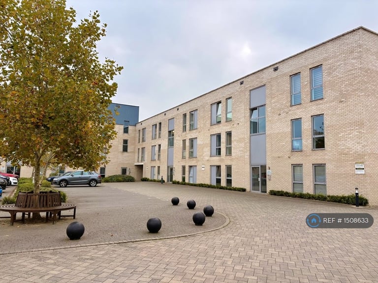 2 bedroom flat in Albarn Court, Colchester, CO2 (2 bed) (#1508633)