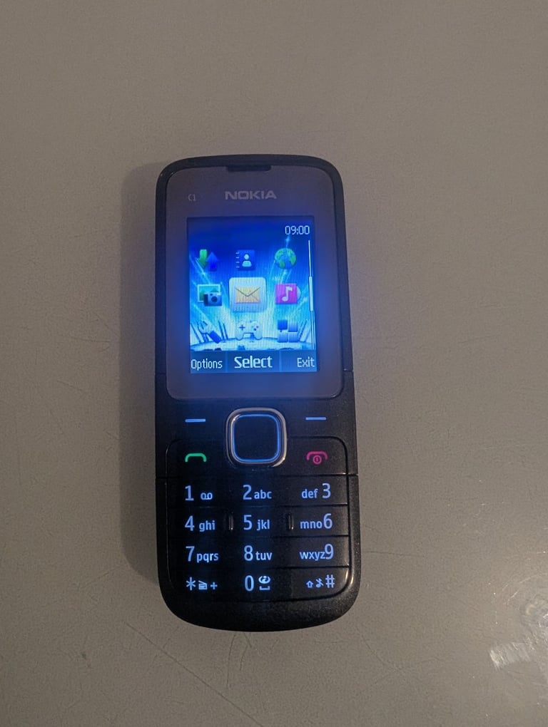Nokia C1-01 Unlocked 