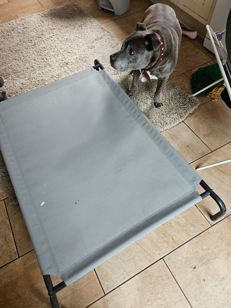 Dog/pet bed -large