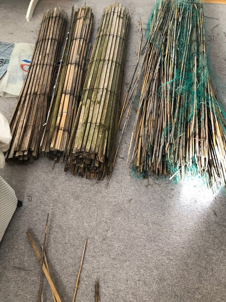 image for Bamboo screening