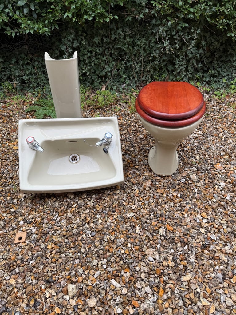 Avocado toilet and sink