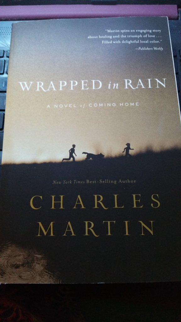 image for Wrapped in rain book brand new!