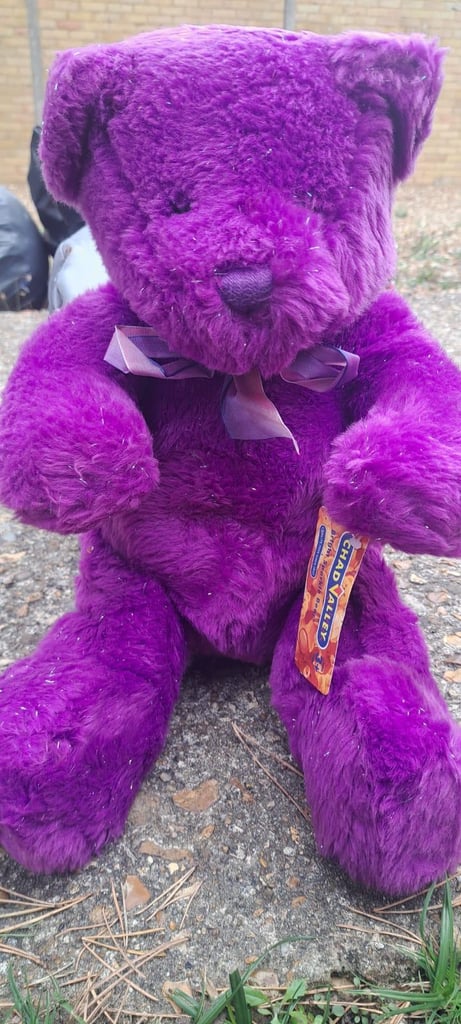 image for Chad Vally Teddy