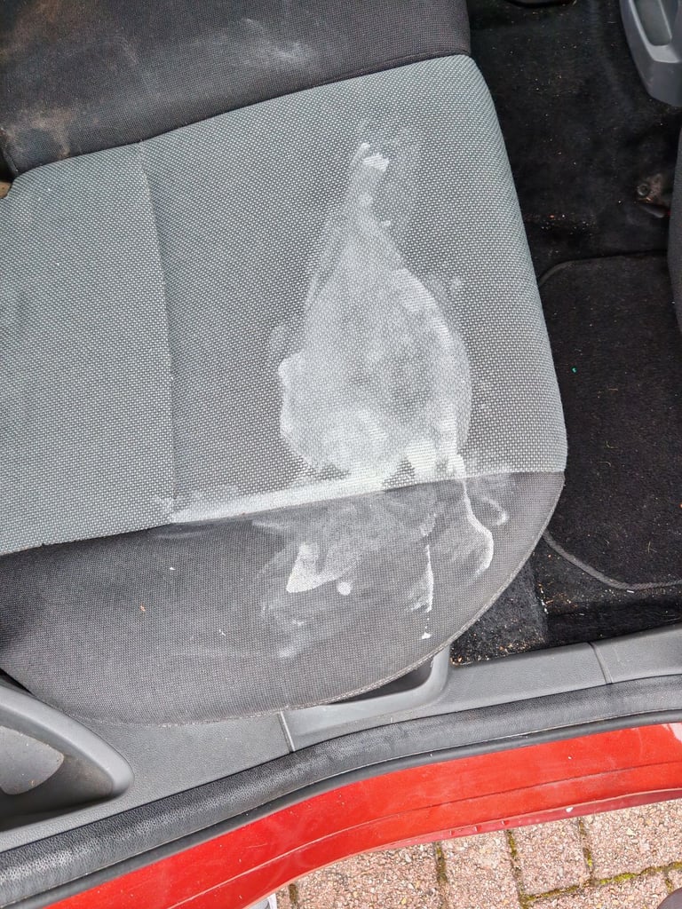 Ford, FOCUS, Hatchback, 2009, Manual, 1596 (cc), 5 doors